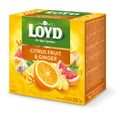 Loyd Tea Fruit Infusions Citrus Fruit & Ginger Pyramids Loyd