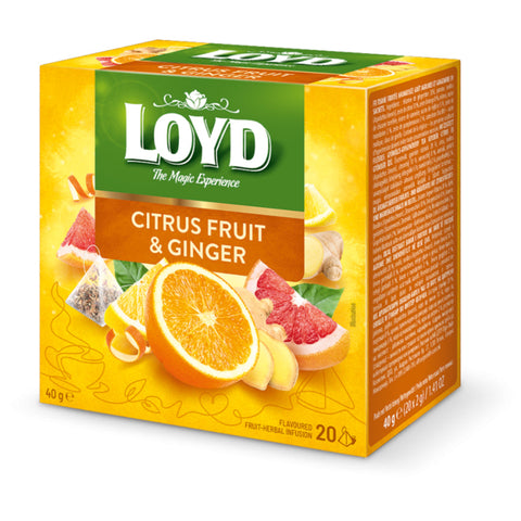 Loyd Tea Fruit Infusions Citrus Fruit & Ginger Pyramids Loyd