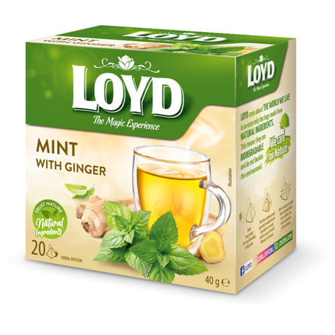 Loyd Tea Herbal & Fruit Infusions Mint & Ginger Pyramids Loyd