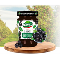Lowicz Jam Traditional Fruit Spread Chockeberry 9.9oz 280g Lowicz