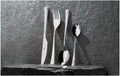 68-piece cutlery set VALOR gloss + case Gerlach USA