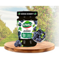 Lowicz Jam Traditional Fruit Spread Blueberry 9.9oz 280g Lowicz