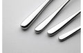 24-piece cutlery set gloss MUZA Gerlach USA