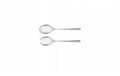 MUZA CUTLERY 68 PCS CASE FOR 12 PEOPLE Gerlach USA